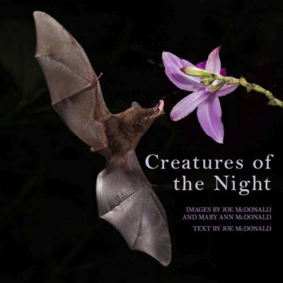 Book cover for Creatures of the Night