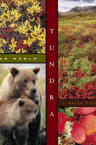 Cover of Tundra