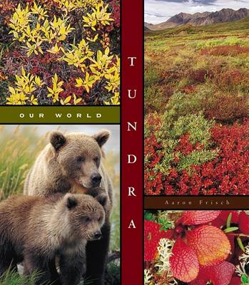 Book cover for Tundra