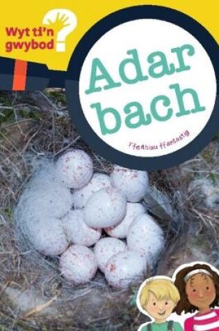 Cover of Cyfres Wyt Ti'n Gwybod?: Adar Bach