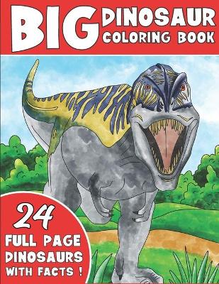 Book cover for Big Dinosaur Coloring Book