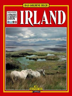Cover of Das Goldene Buch Irland