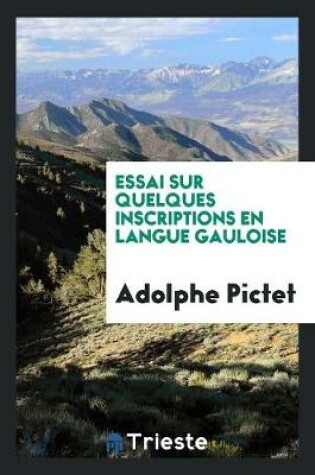 Cover of Essai Sur Quelques Inscriptions En Langue Gauloise