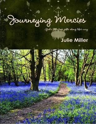 Book cover for Journeying Mercies