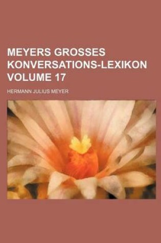 Cover of Meyers Grosses Konversations-Lexikon Volume 17