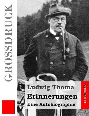 Book cover for Erinnerungen (Grossdruck)