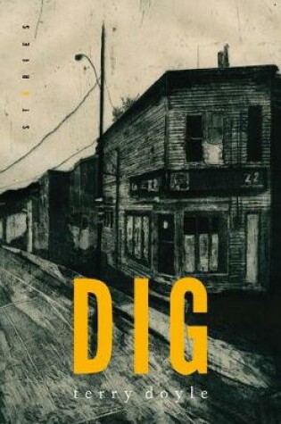 Cover of Dig