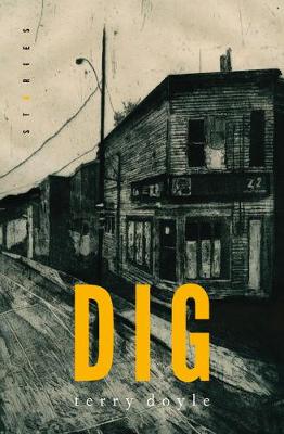 Book cover for Dig