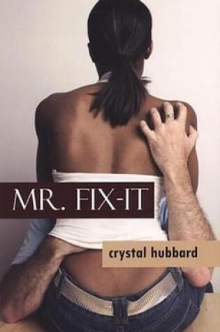 Cover of Mr. Fix-It