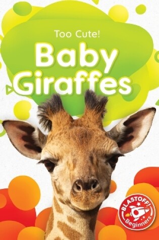 Cover of Baby Giraffes