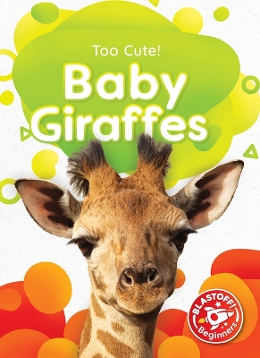 Cover of Baby Giraffes