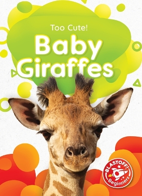 Book cover for Baby Giraffes