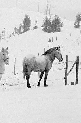 Cover of Winter Theme Journal Horses In Winter