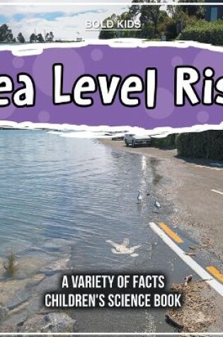 Cover of Sea Level Rise A Variety Of Facts Children's Science Book