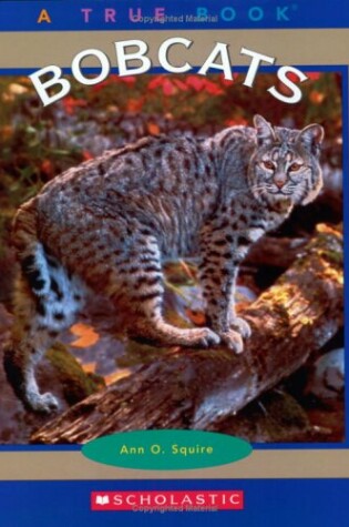 Cover of Bobcats