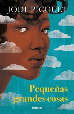 Book cover for Pequeñas Grandes Cosas