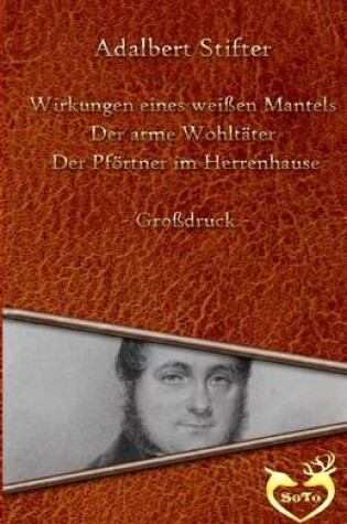 Cover of Drei Geschichten - Grossdruck