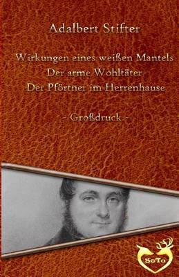 Book cover for Drei Geschichten - Grossdruck