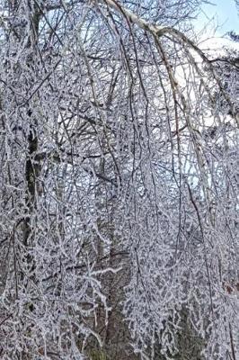 Cover of 2019 Weekly Planner Winter Scenic Forest Ice Storm 134 Pages