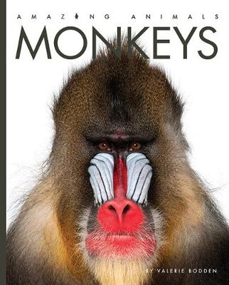 Book cover for Amazing Animals: Monkeys