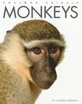 Book cover for Amazing Animals: Monkeys