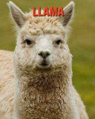 Book cover for Llama