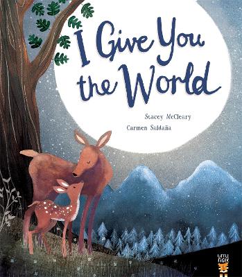 Book cover for I Give You the World