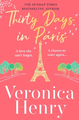Book cover for Thirty Days in Paris