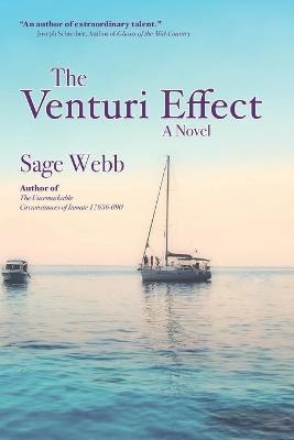 Book cover for The Venturi Effect