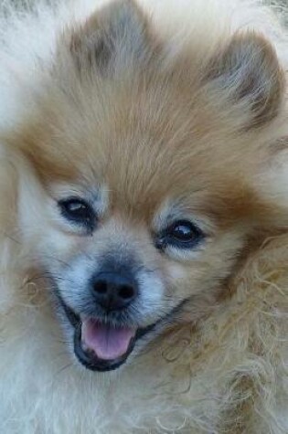 Cover of Smiling Pomeranian Dog Up Close Journal