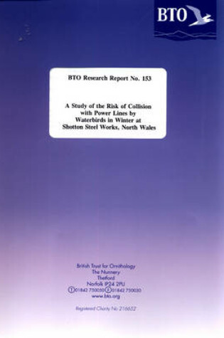 Cover of A Study of Risk of Collision with Power Lines by Waterbirds in Winter at Shotton Steel Works, North Wales