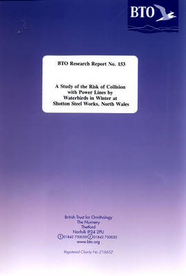 Cover of A Study of Risk of Collision with Power Lines by Waterbirds in Winter at Shotton Steel Works, North Wales
