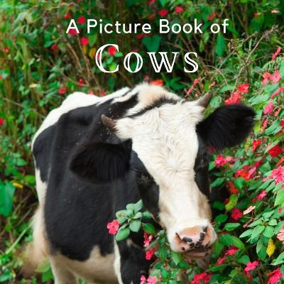 Cover of A Picture Book of Cows