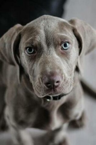 Cover of Weimaraner Puppy Dog Journal