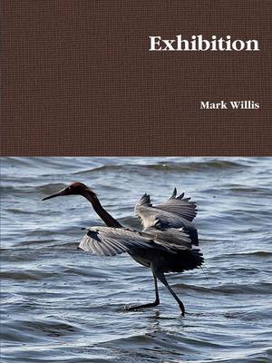 Book cover for Exhibition
