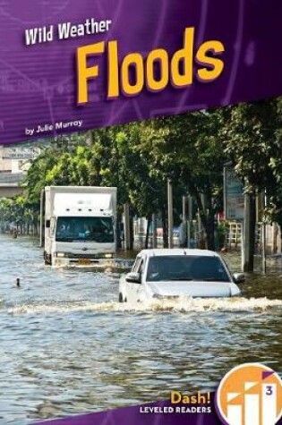 Cover of Floods