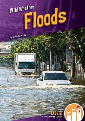Book cover for Floods