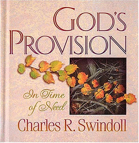 Book cover for God's Provision in Time of Need