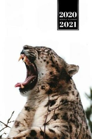 Cover of Panther Leopard Cheetah Cougar Week Planner Weekly Organizer Calendar 2020 / 2021 - Sharp Teeth