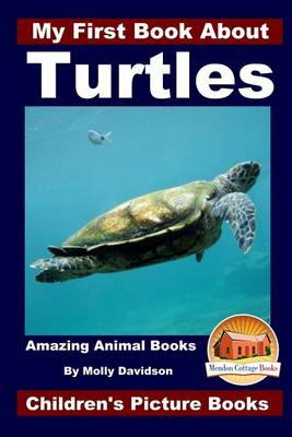 Book cover for My First Book About Turtles - Amazing Animal Books - Children's Picture Books