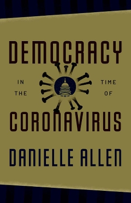 Book cover for Democracy in the Time of Coronavirus
