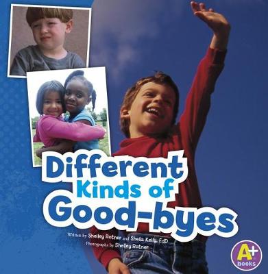 Cover of Different Kinds of Good-Byes