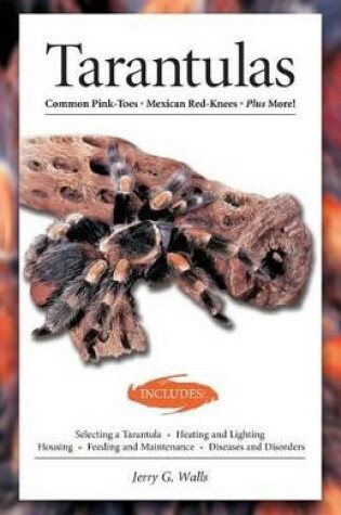 Cover of Tarantulas (Advanced Vivarium Systems)