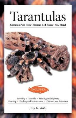 Book cover for Tarantulas (Advanced Vivarium Systems)