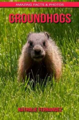 Cover of Groundhogs