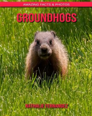 Book cover for Groundhogs