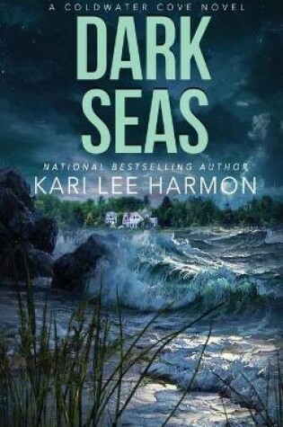 Cover of Dark Seas