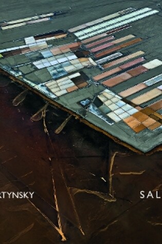 Cover of Edward Burtynsky: Salt Pans