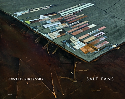 Book cover for Edward Burtynsky: Salt Pans