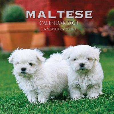 Book cover for Maltese Calendar 2021